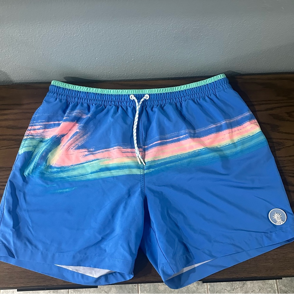 Chubbies Lined Swim